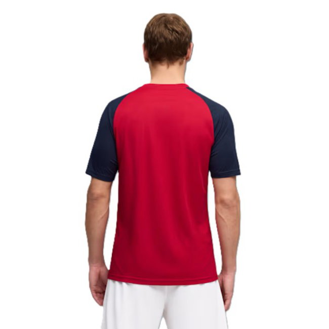 2026-2027 Czech Republic Warm Up Jersey (Dark Cherry) (Baros 9)-SoccerKits Hub | Buy Soccer Jerseys Online
